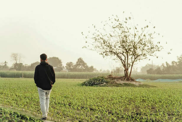 Person walking in calm natural environment