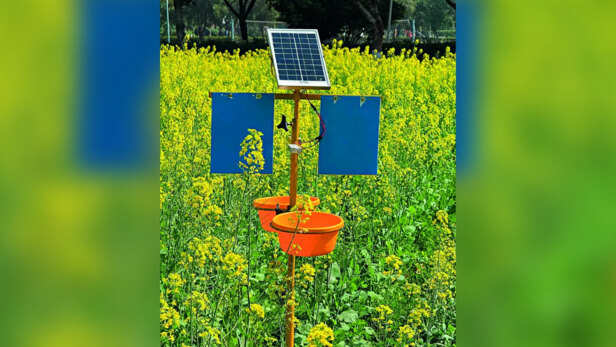 सौर ऊर्जा कृषि उपकरण