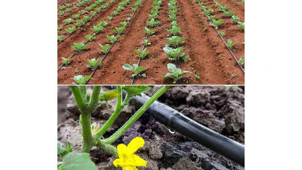 ड्रिप इरिगेशन सिस्टम