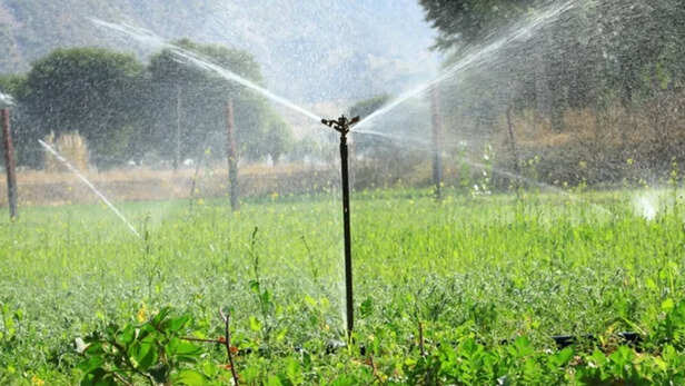 स्प्रिंकलर इरिगेशन