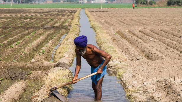 सरफेस इरिगेशन सिस्टम