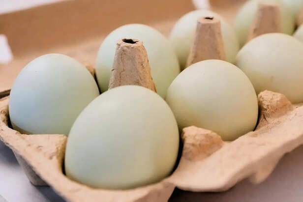White Eggs