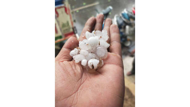 ग्वालियर में गिरे ओले