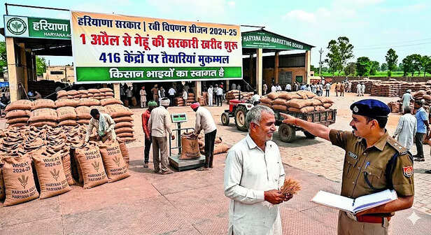 हरियाणा में 1 अप्रैल से गेहूं की होगी खरीद, तैयारियां शुरू