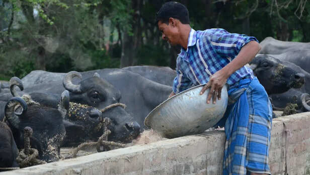 डाइट का रखें ख्याल