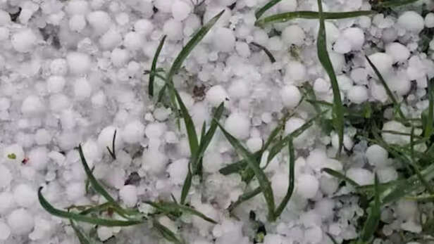 मौसम की मार से जम्मू में खेती पर असर