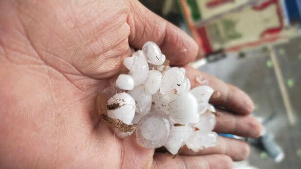 बीकानेर में गिरे ओले