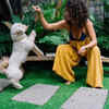 Playing with Your Pet        (Image Credit :Pexels)