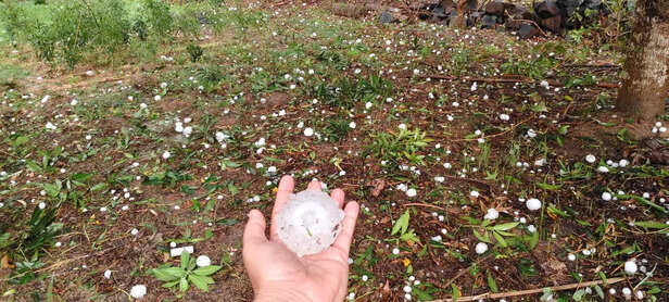 गिरे ओले