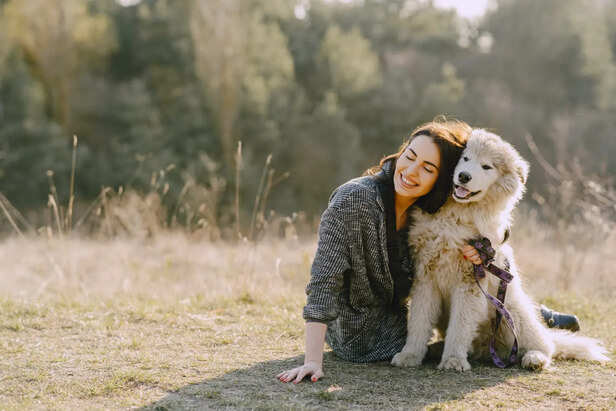 Happiness in pets is not just behavioural- it is biological