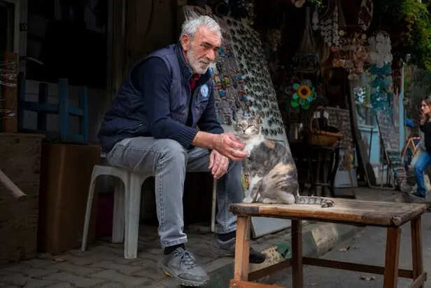 A Cat Being Friendly with a Stranger            (Image Credit :Pexels)