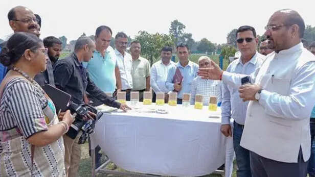 भारतीय गेहूं रस्ट अनुसंधान एवं निगरानी कार्यक्रम