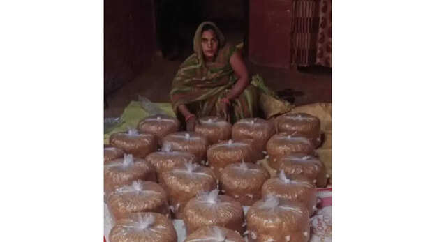 मशरूम उगाकर बनाए जा रहे हैं प्रोडक्ट्स