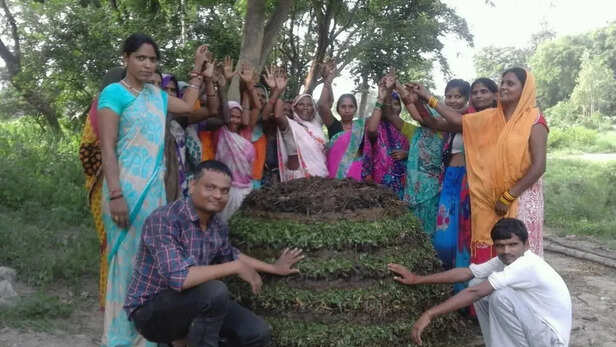 खेती में करती हैं जैविक विधी का इस्तेमाल