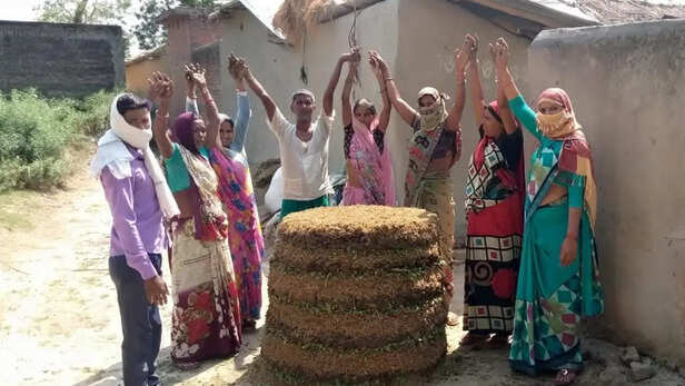 मशरूम और मिलेट्स की  क्लस्टर आधारित खेती का विकास