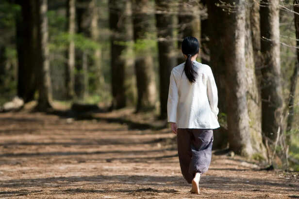 Person Following Inner Light Path