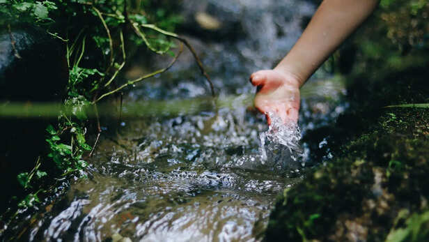 Flow of Life