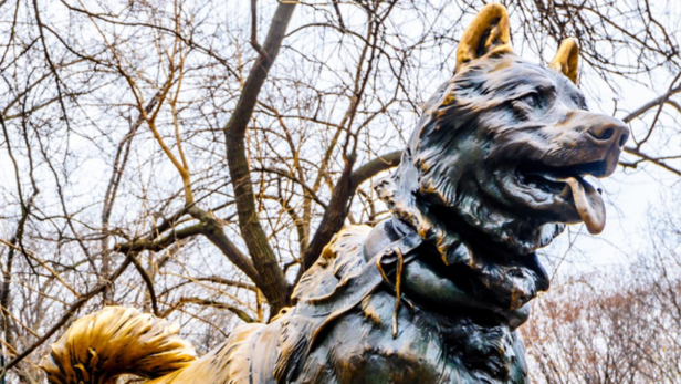 Statue of Balto | Instagram - @camprunamutthoustonec