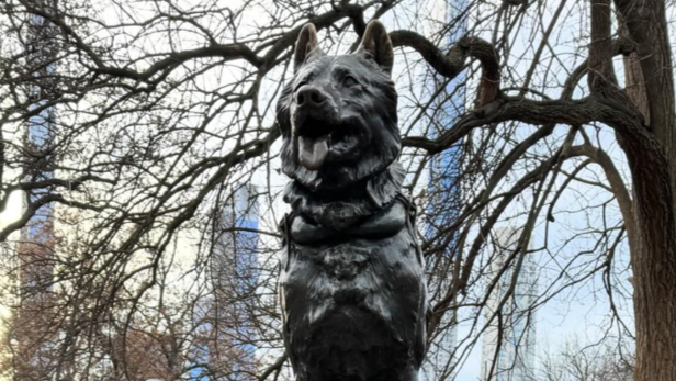 Balto | Instagram - @journeys.north