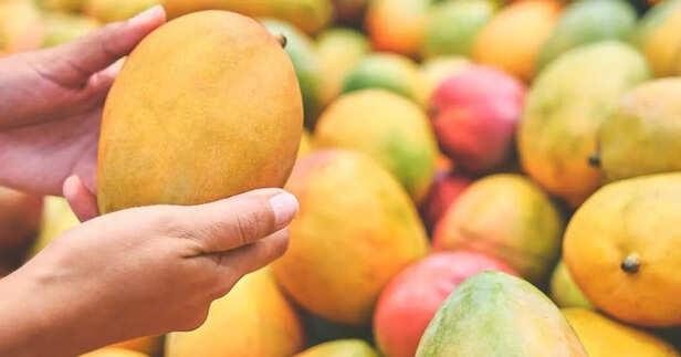 आम को कीटों से कैसे बचाएँ?