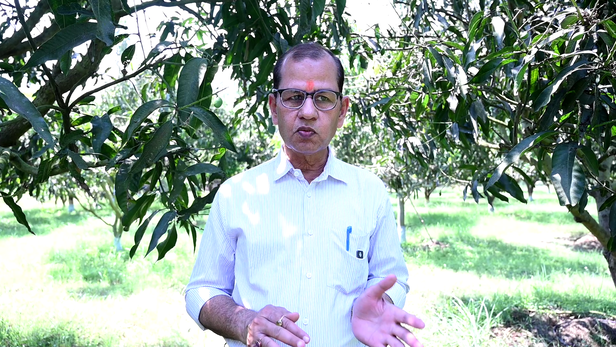 डॉ. प्रभात कुमार शुक्ला, सेंट्रल इंस्टीट्यूट ऑफ सबट्रॉपिकल हार्टिकल्चर (CISH) के प्रधान वैज्ञानिक