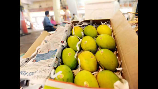 भारत में, हर साल करीब 24 मिलियन मीट्रिक टन आम का उत्पादन होता है। 