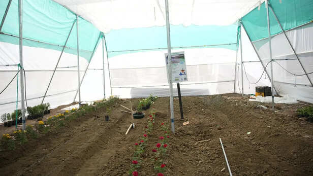 इंटीग्रेटेड फार्मिंग समाधान