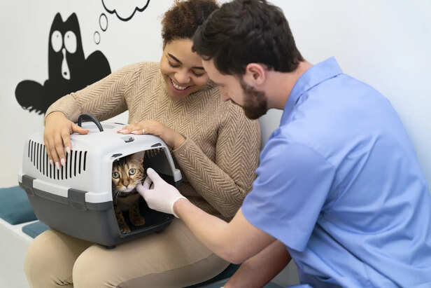 Handling Injuries, Cuts, and Bleeding