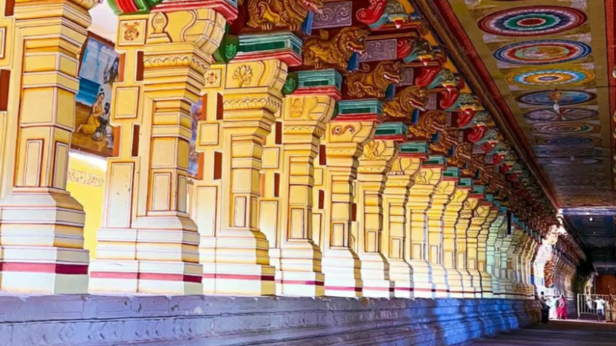 Dravidian Architecture at The Ramanathaswamy Temple | Instagram - @mobi_shots