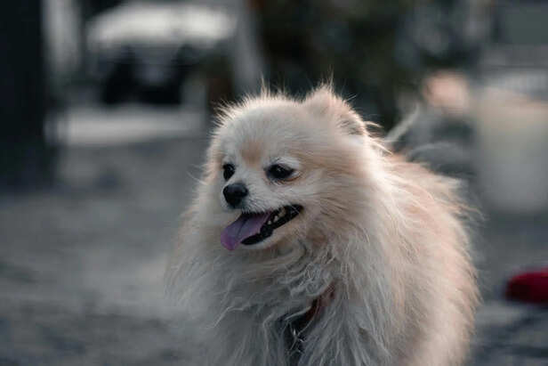 Difficulty in Breathing