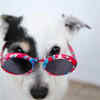 Keep Your Pet Hydrated and Cool