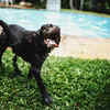 Protect Against Heatstroke and Overexertion