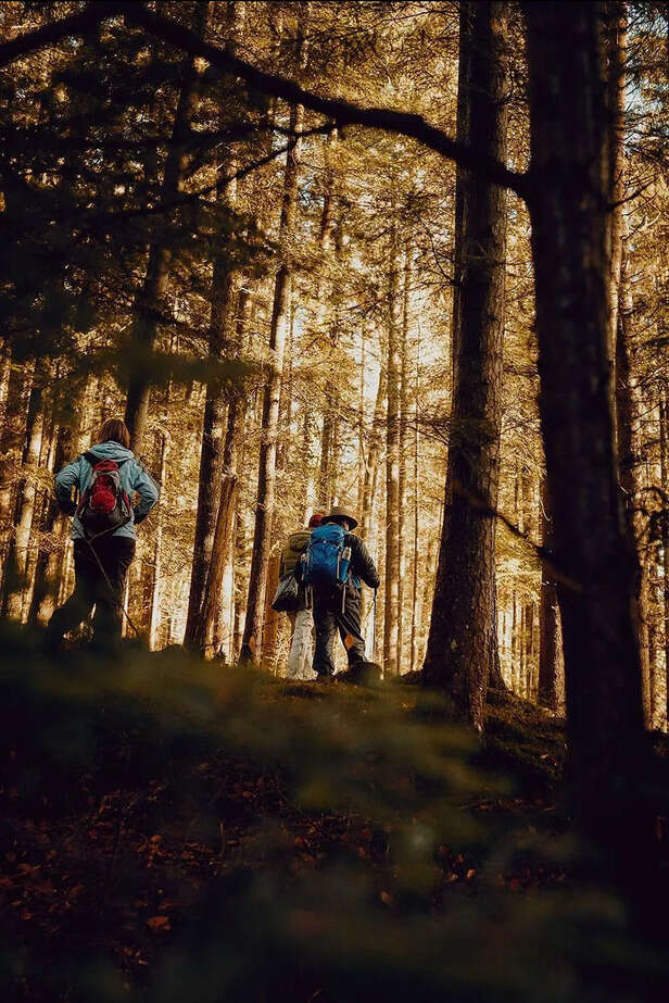 ChatGPT | Japanese Walking Is Having a Moment