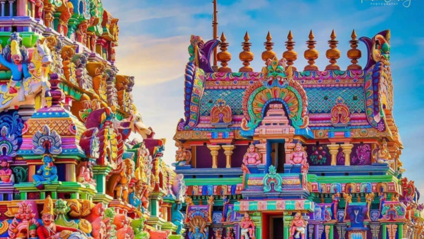 Intricate Carvings on the Gopurams of Srirangam Temple | Instagram - @prudhvichowdary