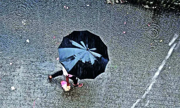 IMD’s rain forecast brings cheer to NE farmers