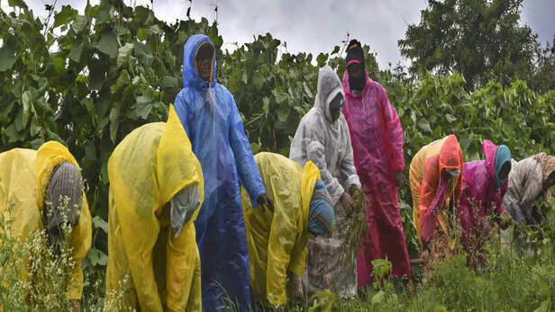 कहाँ कितनी बारिश?