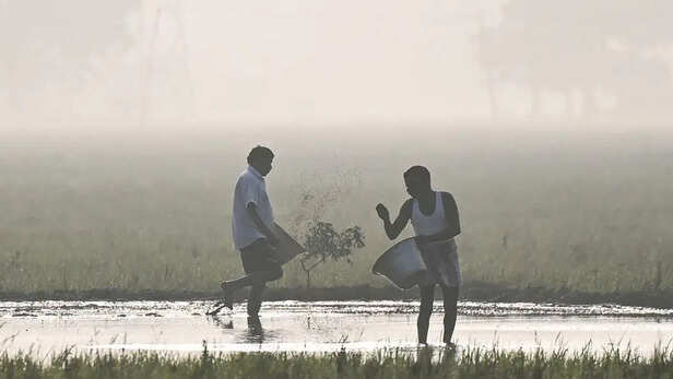 किसान भाई रखें खास ख्याल