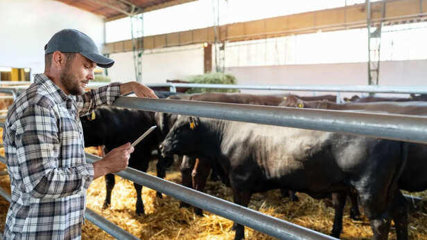 आसानी से इस्तेमाल कर सकते हैं ग्रामीण किसान