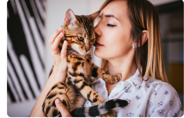 Bengal Cat with Owner              (Image Credit:Freepik)