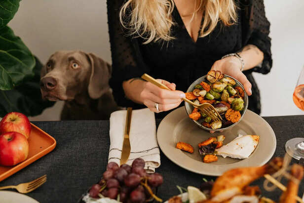 ​Nutrient-Rich Foods for Pets