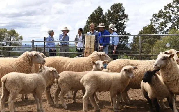 X| @popdocumentary| Sussexes land in Australia without the buzz