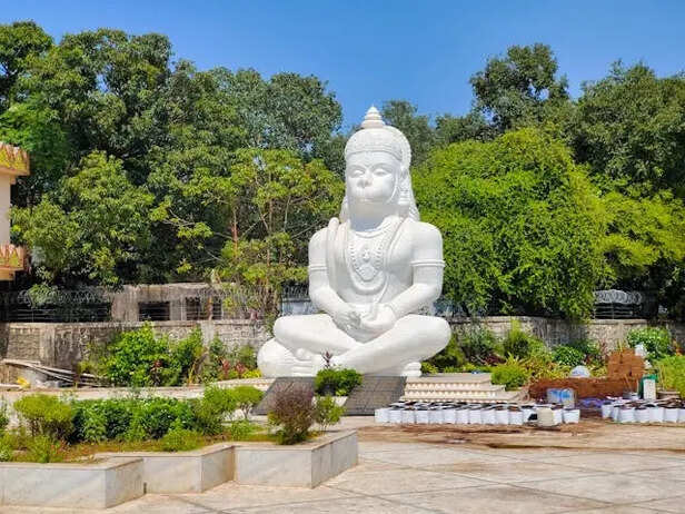 White Hanuman Ji Murti                    (Image Credit:Pexels)