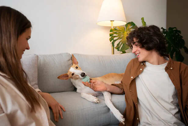 Lifelong Bond            (Image Credit:Freepik)