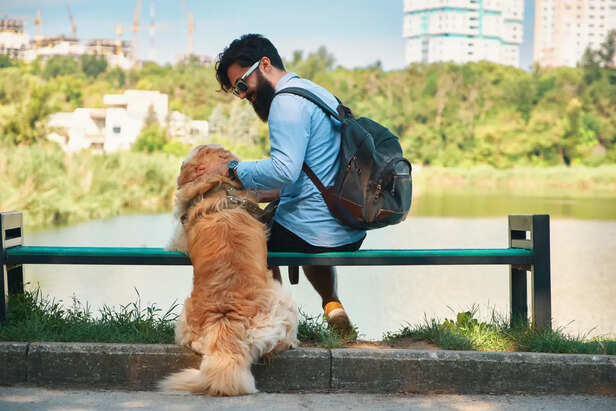 Why dogs follow you everywhere