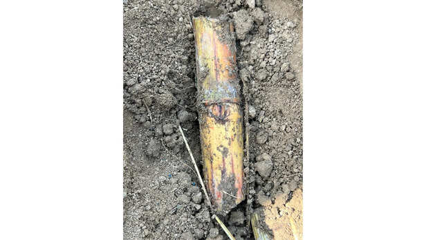 बोने के लिए सिंगल बड का इस्तेमाल करें