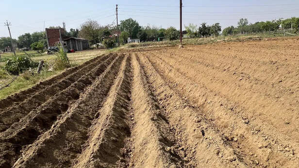 खेत में गहरी और चौड़ी नालियां बनाई जाए