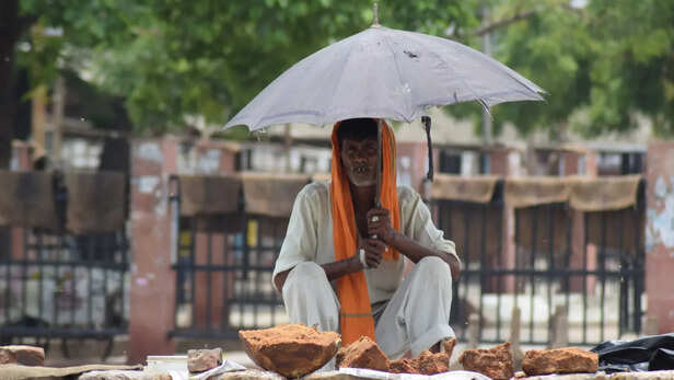 दोपहरी में छाया में रहें