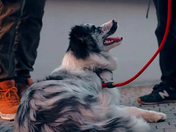 Behavior Changes Should Not Be Ignored