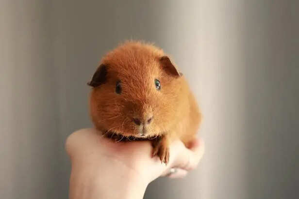 Small Signs, Big Meaning