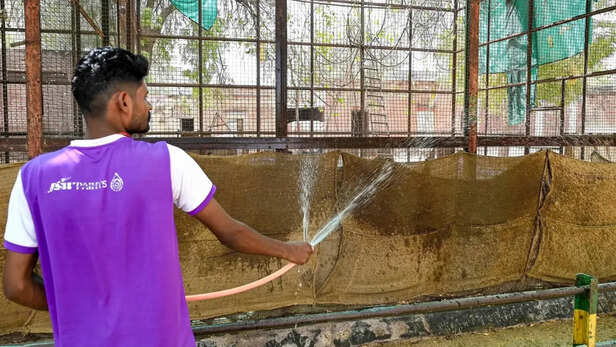 ठंडक के लिए जूट को पानी से भिगोता इंसान